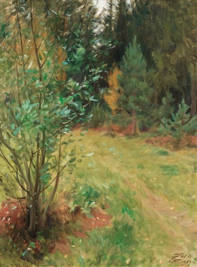 Landschaft von Gopsmor von Anders Leonard Zorn